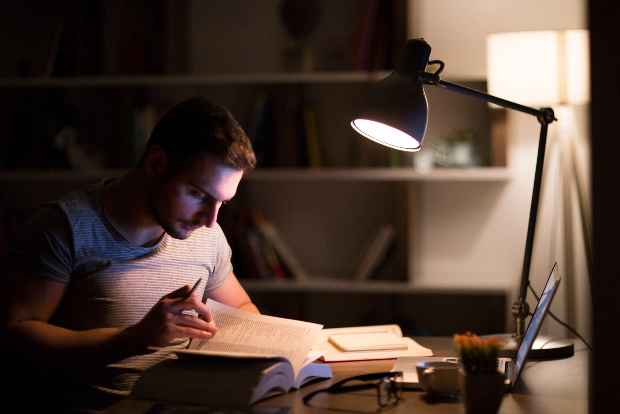 Study Tips for Night Owls