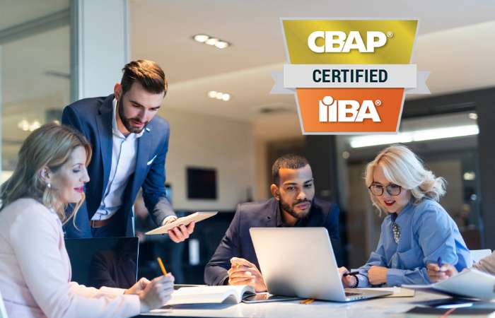 CBAP Exam Guide: What to Expect and How to Prepare for the CBAP Certification